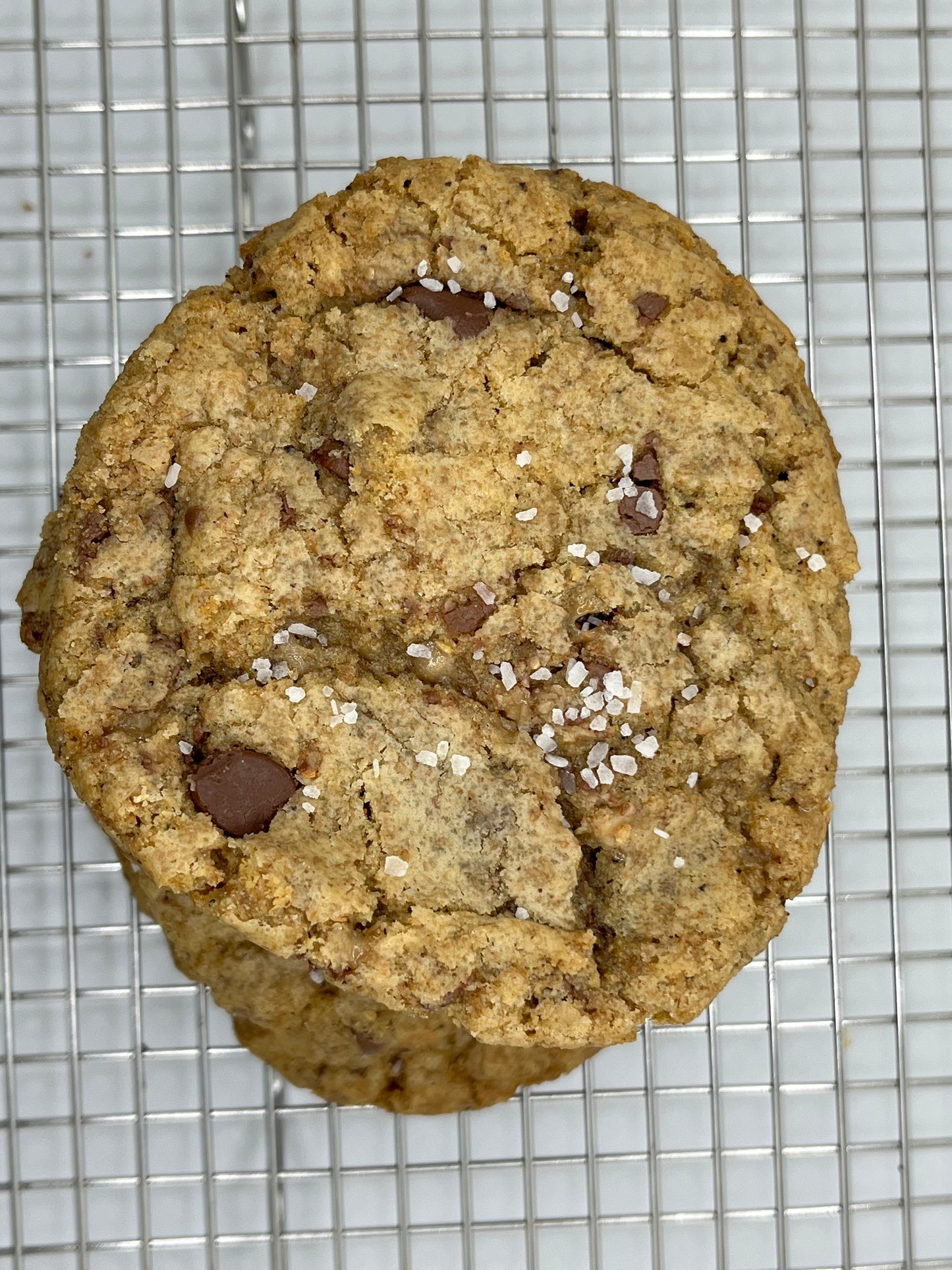 Chocolate Chip Cookie